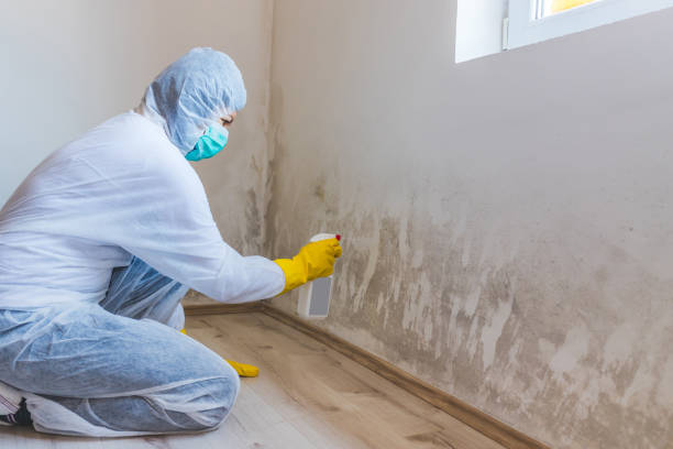 Mold Remediation specialist working in Rapidan